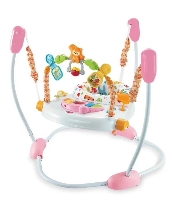 Multi-Functional Baby Bounce Chair