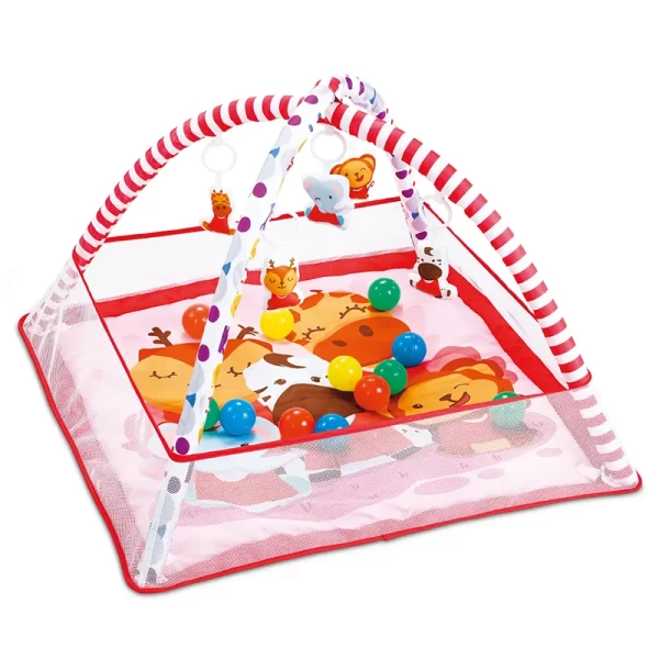 Baby Play Gym Mat with Ball Pit Activity Gym Center for Newborn Infant Baby Toddlers
